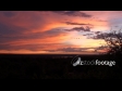 African Sunrise 1 1149